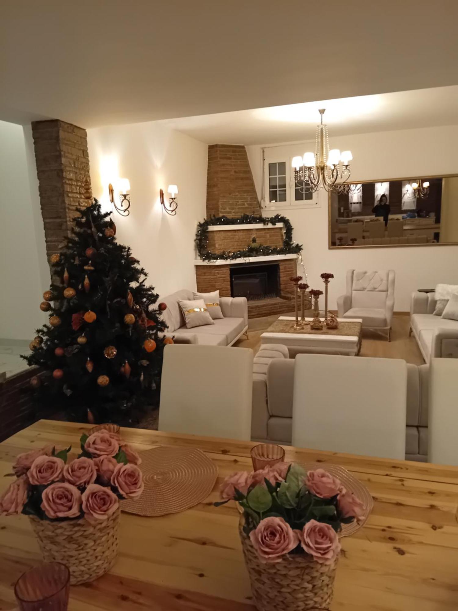 Meteora Grande Luxury & Apartment *